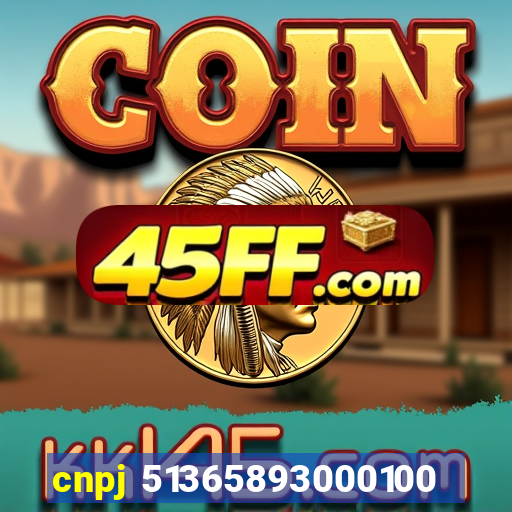 cnpj 51365893000100